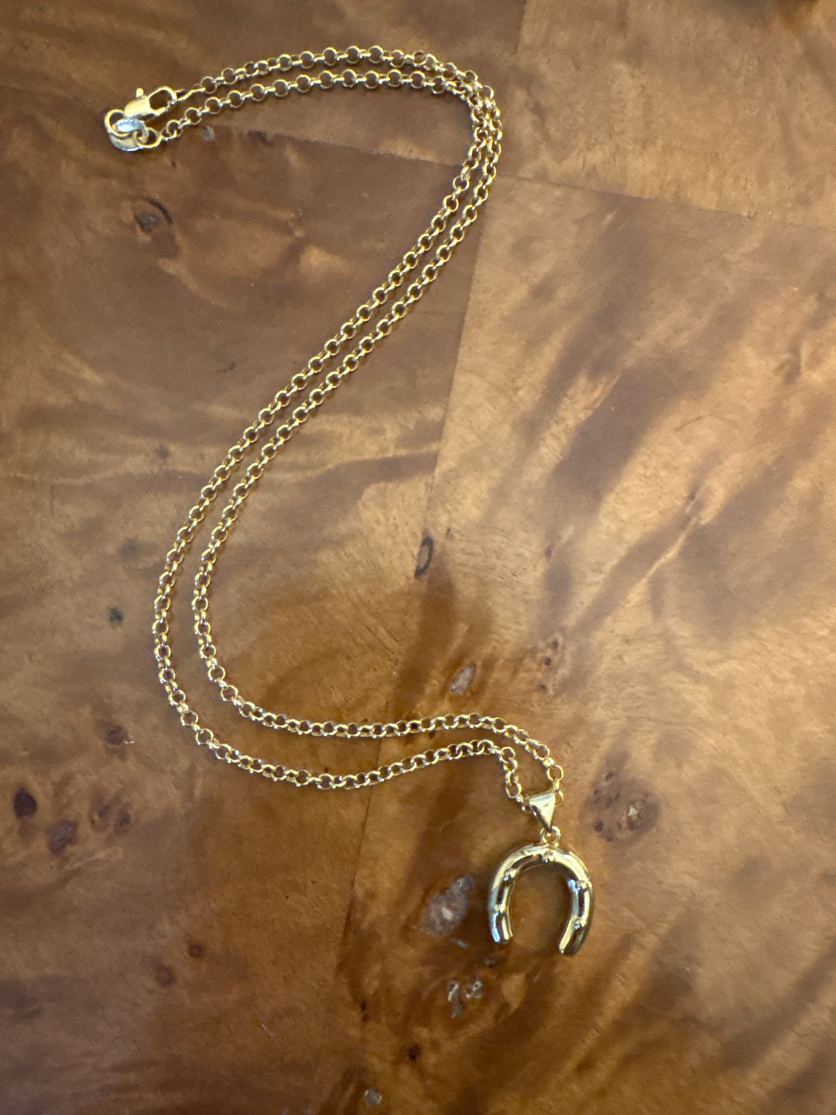 Horseshoe necklace