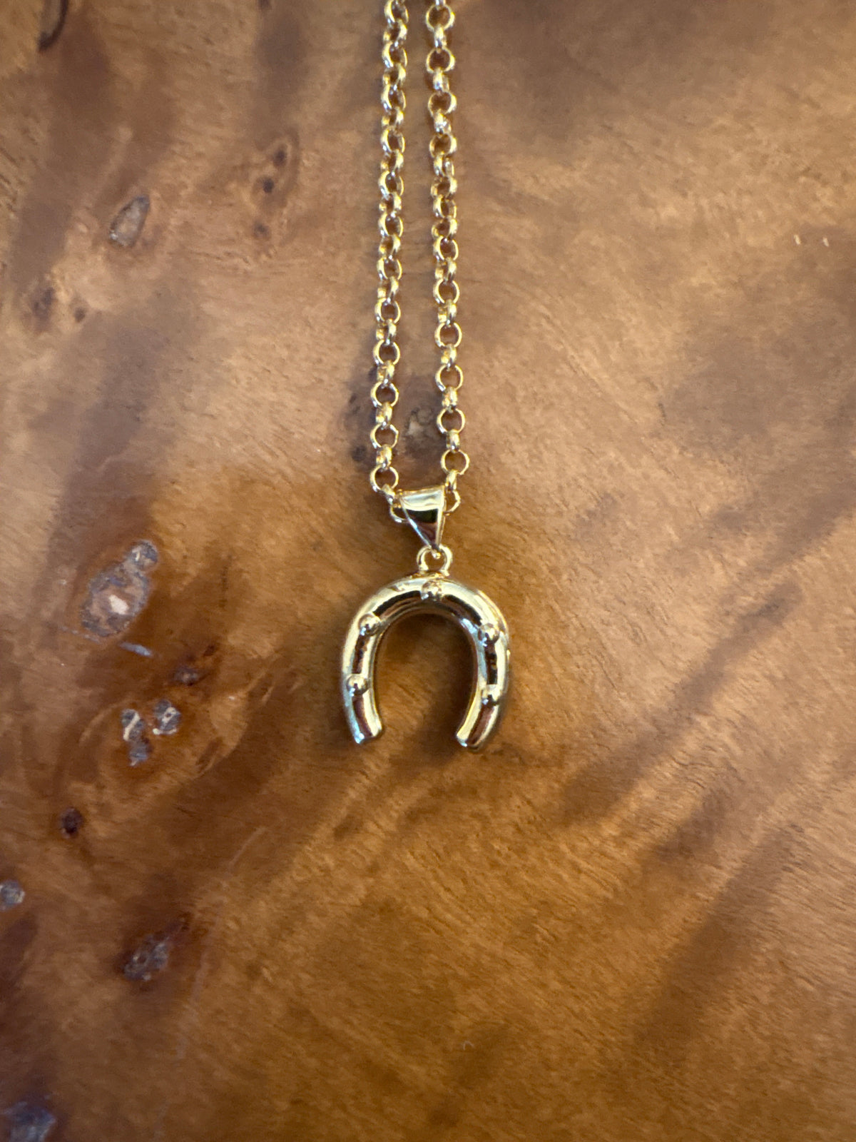 Horseshoe necklace