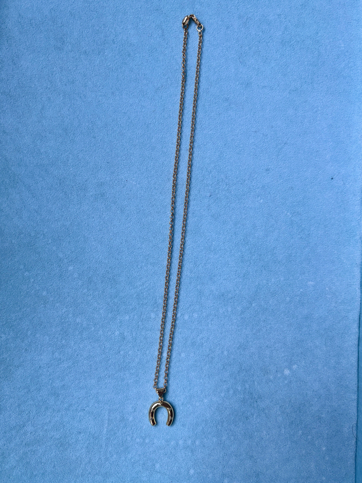 Horseshoe Necklace